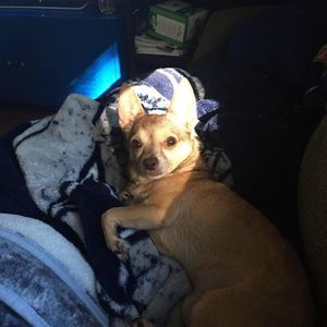 Meet your Posher, Mark